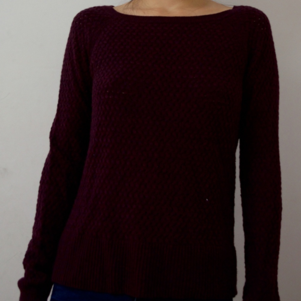 Lightly Used Knit Burgundy/Purple Sweater